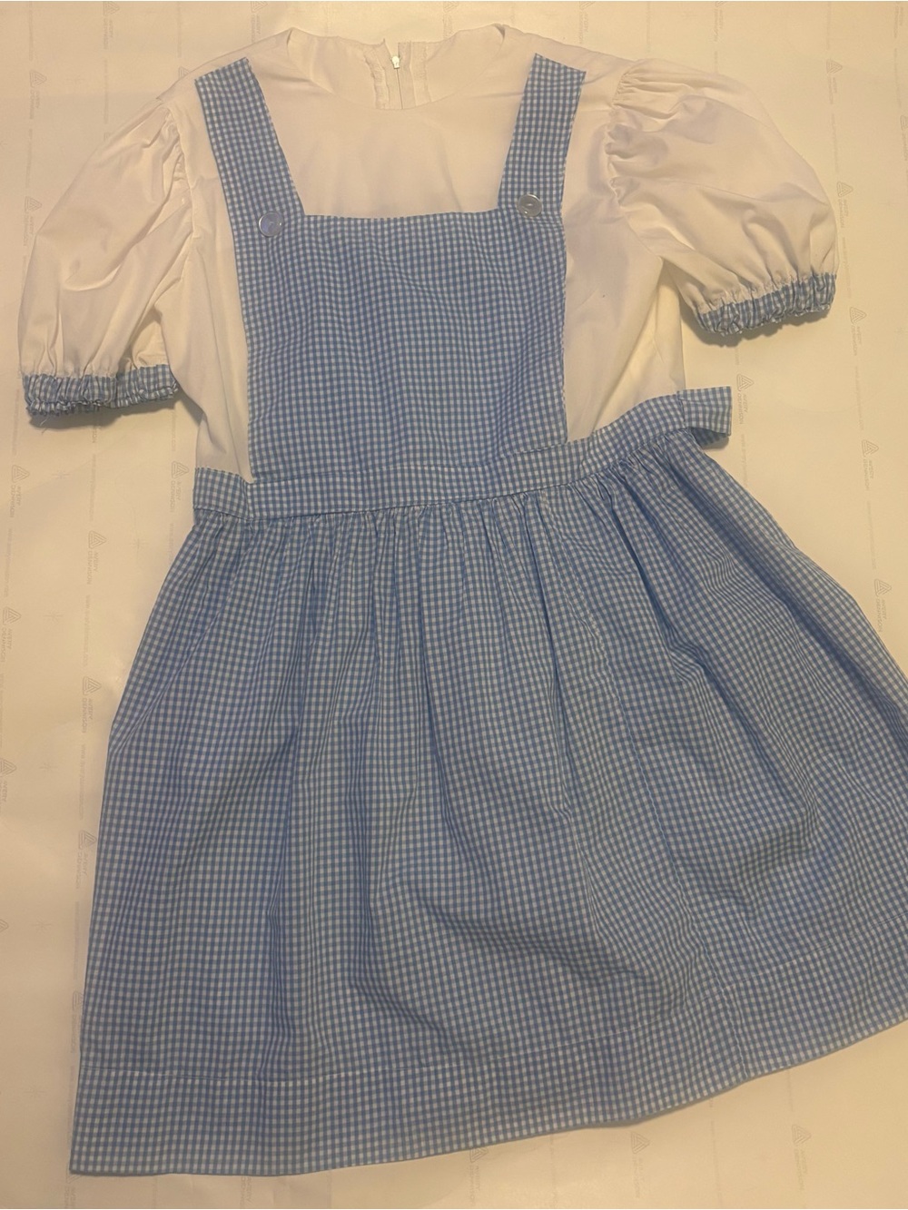 Women’s Size Large Dorothy Wizard of Oz Blue Gingham Pinafore Costume Dress